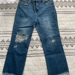 Flying Monkey Blue Straight Leg Jeans